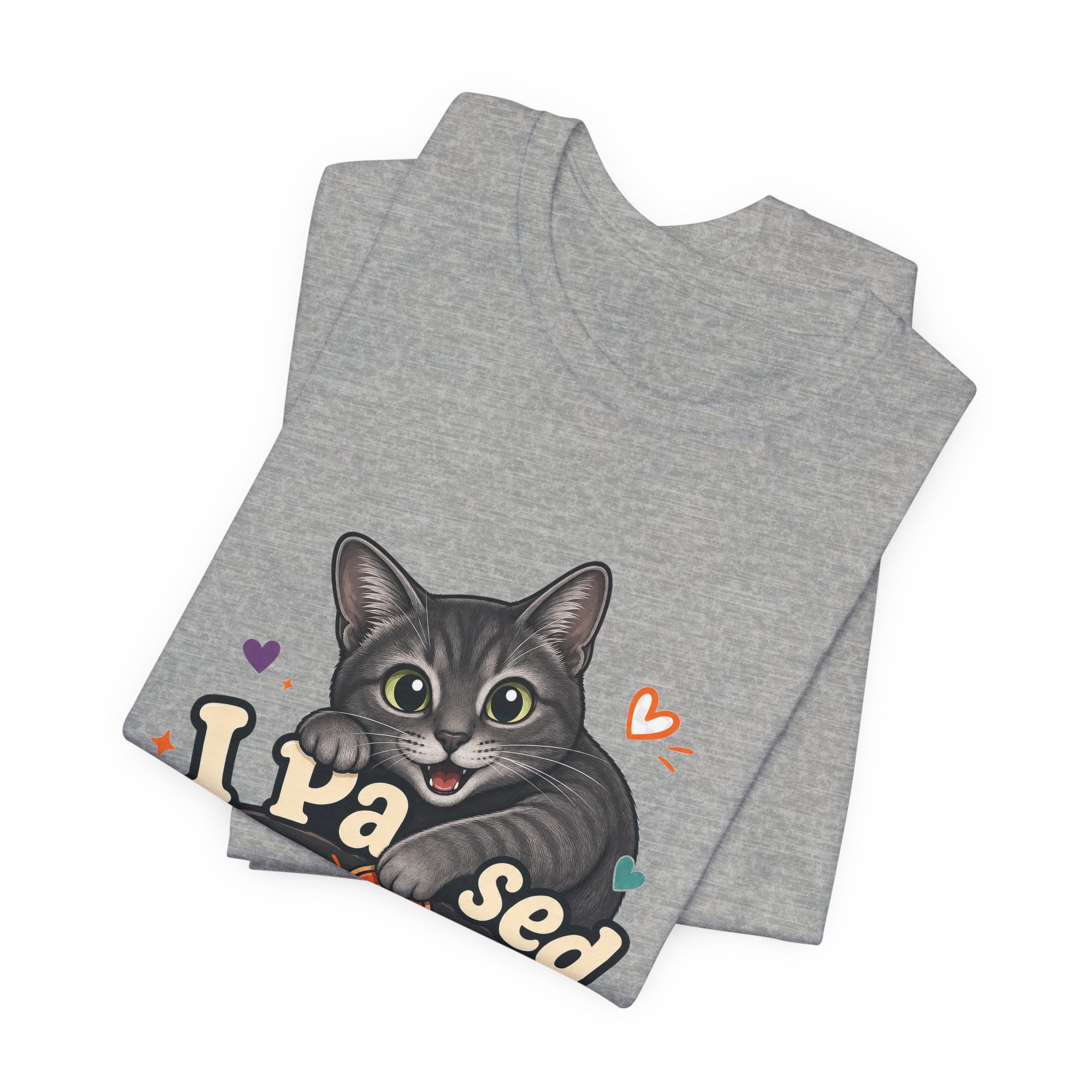 I Paused My Game to Pet the Cat Shirt - Grey Cat Gamer Cat Tee